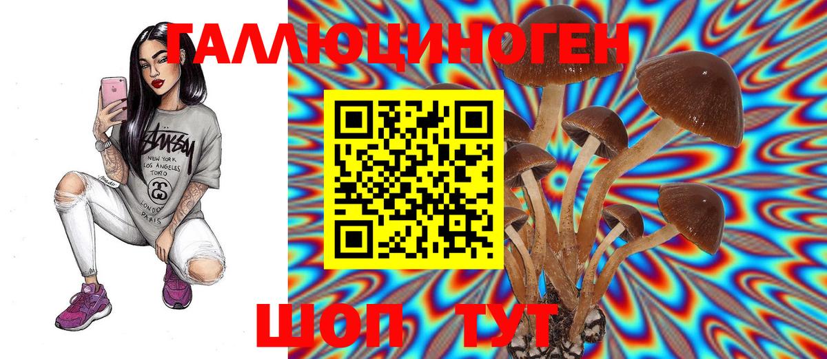 Псилоцибиновые грибы GOLDEN TEACHER  Вход с VPN  Коркино  Галлюциногенные грибы Magic Shrooms 